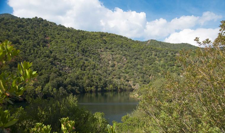 Gutturu Mannu, Parco Regionale
