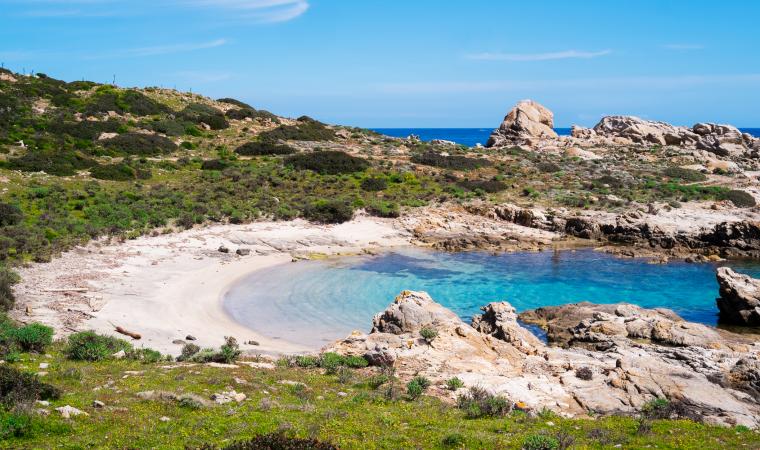 Cala Sabina - Asinara
