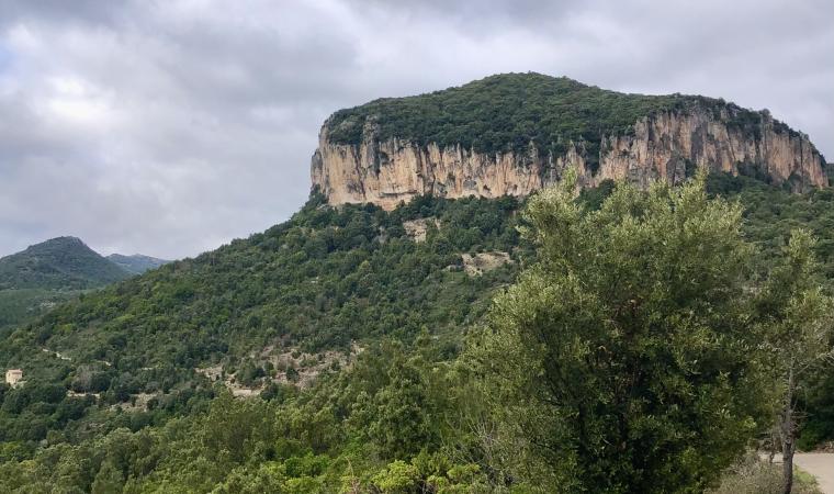 Taccu mannu di Ussassai