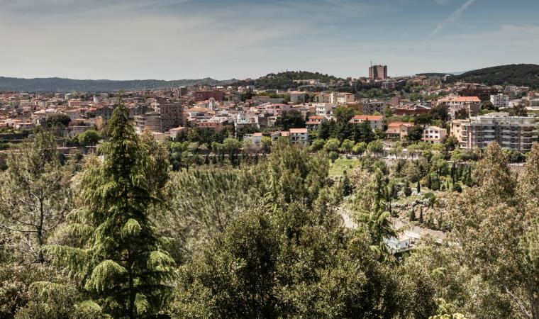 nuoro_cv7986
